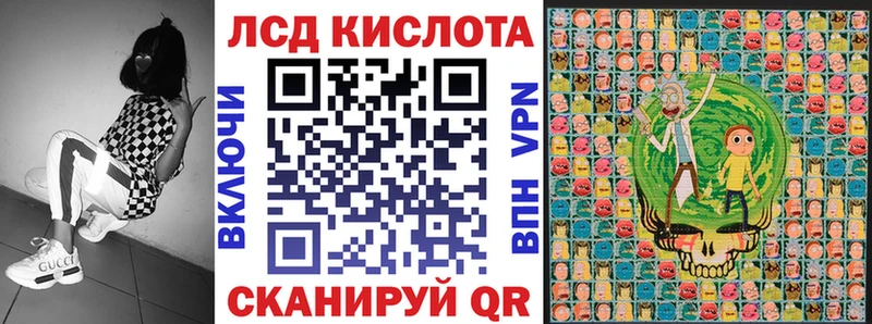 Купить  Губкин  Марки N-bome 1500мкг 