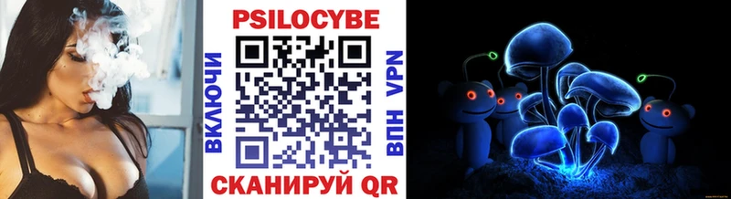 Купить где Губкин Галлюциногенные грибы GOLDEN TEACHER