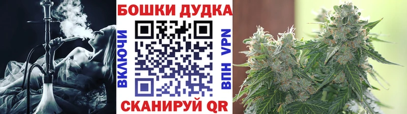 Купить где  Губкин  Каннабис планчик 